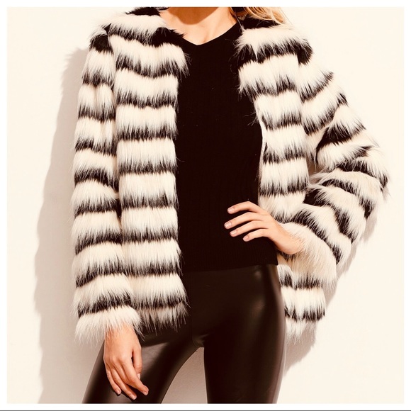 ABSOLUTELY FABULOUS FAUX FUR STRIPED JACKET - Picture 3 of 5